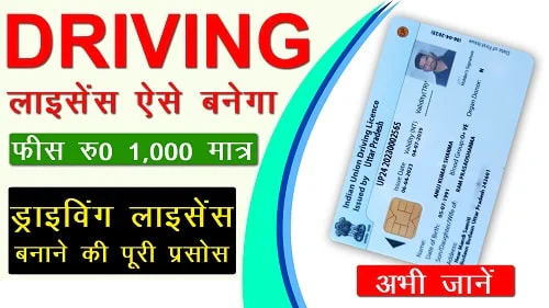 driving licence