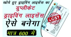 Get Duplicate Driving Licence