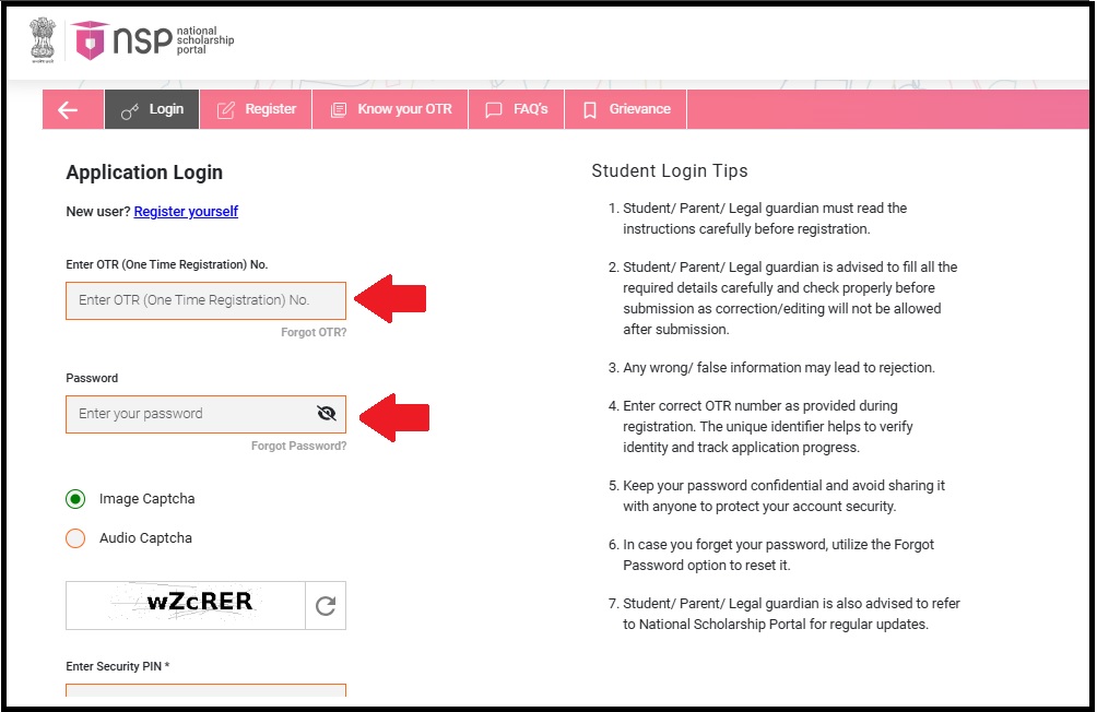 NSP Scholarship Status